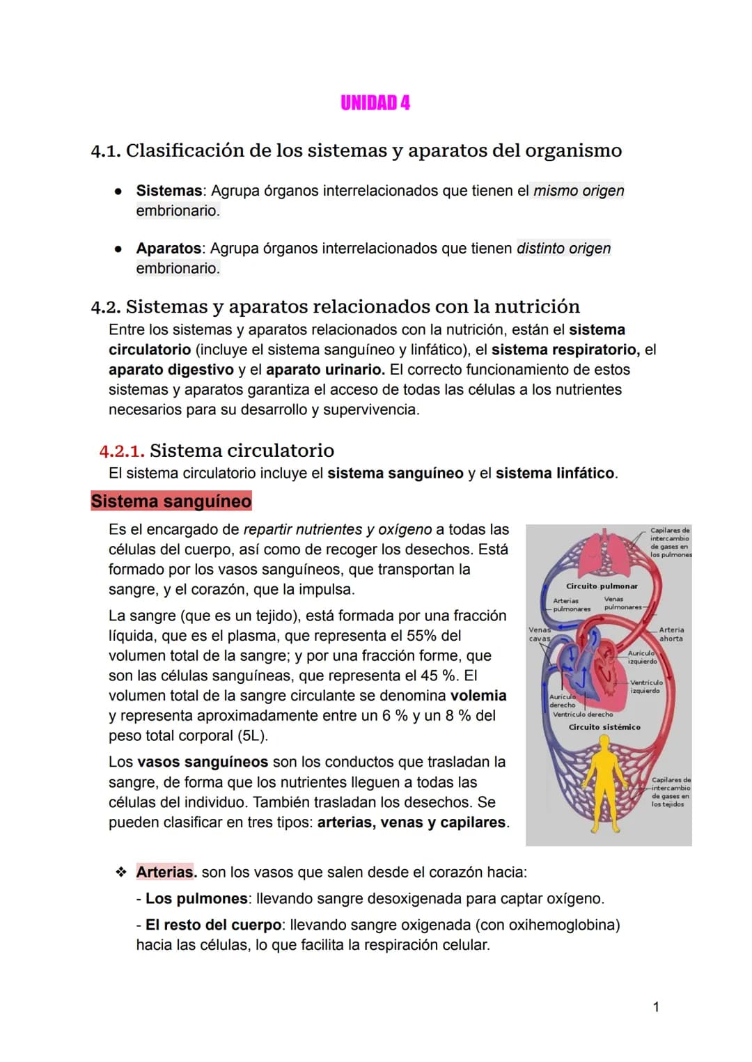 UNIDAD 4
4.1. Clasificación de los sistemas y aparatos del organismo
Sistemas: Agrupa órganos interrelacionados que tienen el mismo origen
e