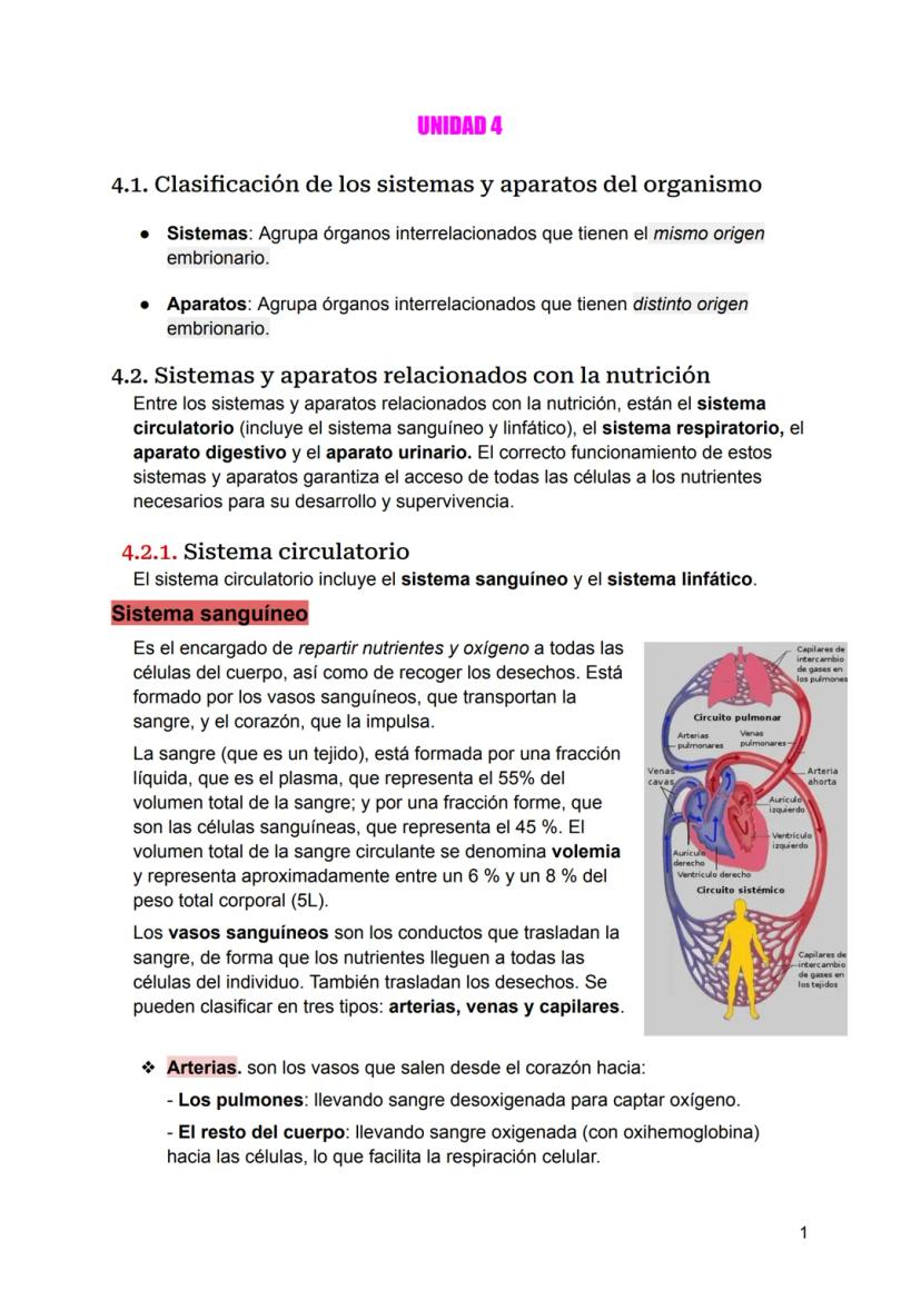 UNIDAD 4
4.1. Clasificación de los sistemas y aparatos del organismo
Sistemas: Agrupa órganos interrelacionados que tienen el mismo origen
e