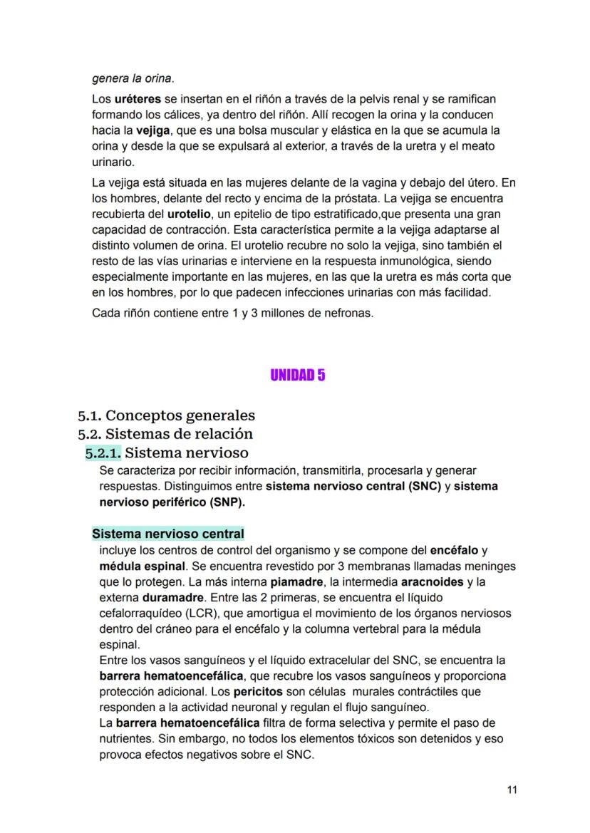 UNIDAD 4
4.1. Clasificación de los sistemas y aparatos del organismo
Sistemas: Agrupa órganos interrelacionados que tienen el mismo origen
e