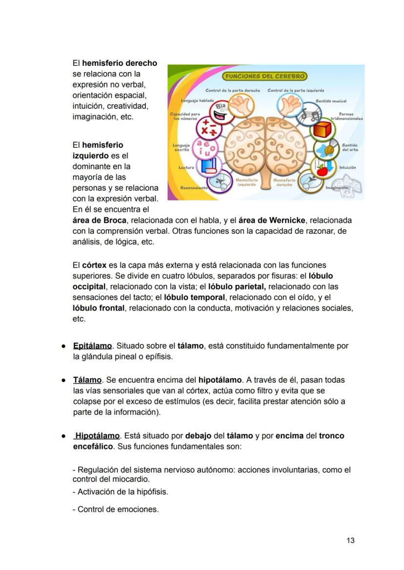 UNIDAD 4
4.1. Clasificación de los sistemas y aparatos del organismo
Sistemas: Agrupa órganos interrelacionados que tienen el mismo origen
e