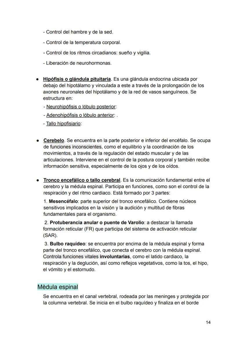 UNIDAD 4
4.1. Clasificación de los sistemas y aparatos del organismo
Sistemas: Agrupa órganos interrelacionados que tienen el mismo origen
e