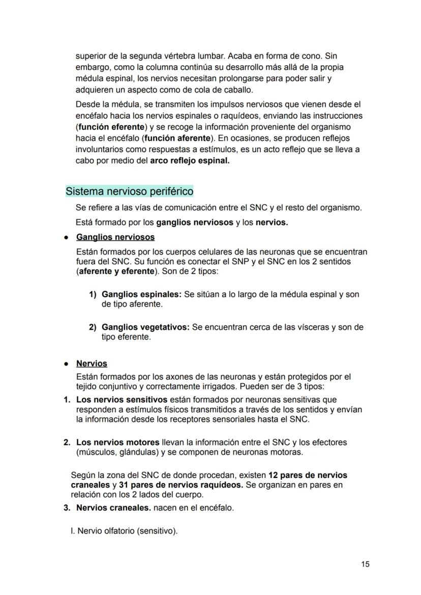 UNIDAD 4
4.1. Clasificación de los sistemas y aparatos del organismo
Sistemas: Agrupa órganos interrelacionados que tienen el mismo origen
e