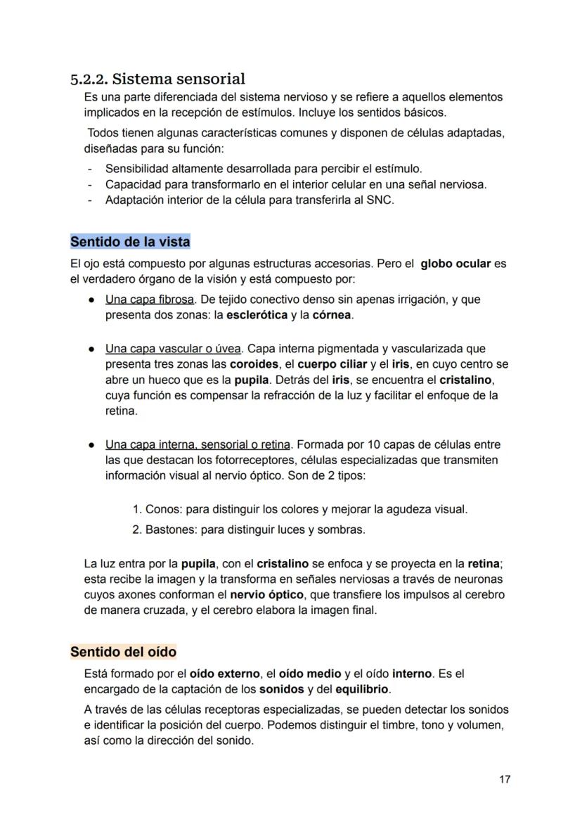 UNIDAD 4
4.1. Clasificación de los sistemas y aparatos del organismo
Sistemas: Agrupa órganos interrelacionados que tienen el mismo origen
e