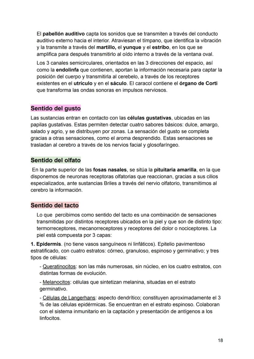 UNIDAD 4
4.1. Clasificación de los sistemas y aparatos del organismo
Sistemas: Agrupa órganos interrelacionados que tienen el mismo origen
e