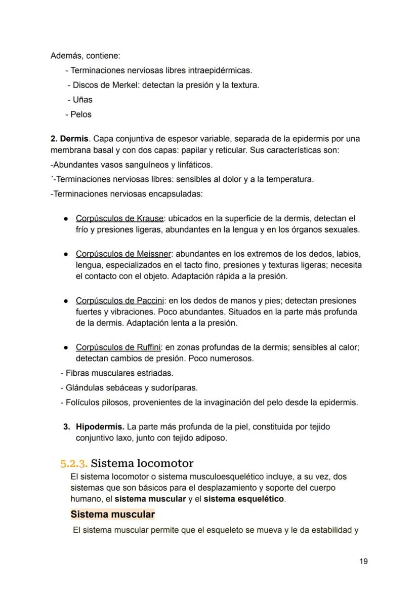 UNIDAD 4
4.1. Clasificación de los sistemas y aparatos del organismo
Sistemas: Agrupa órganos interrelacionados que tienen el mismo origen
e