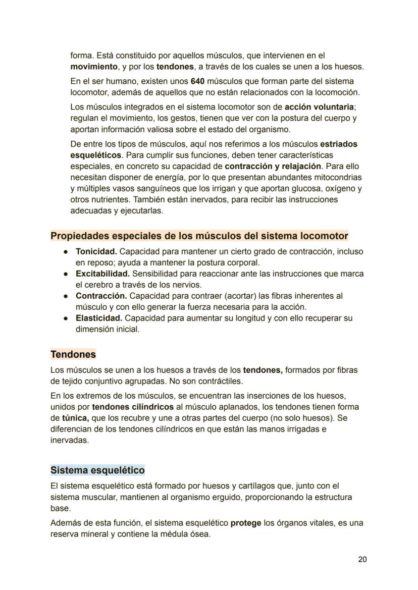 UNIDAD 4
4.1. Clasificación de los sistemas y aparatos del organismo
Sistemas: Agrupa órganos interrelacionados que tienen el mismo origen
e