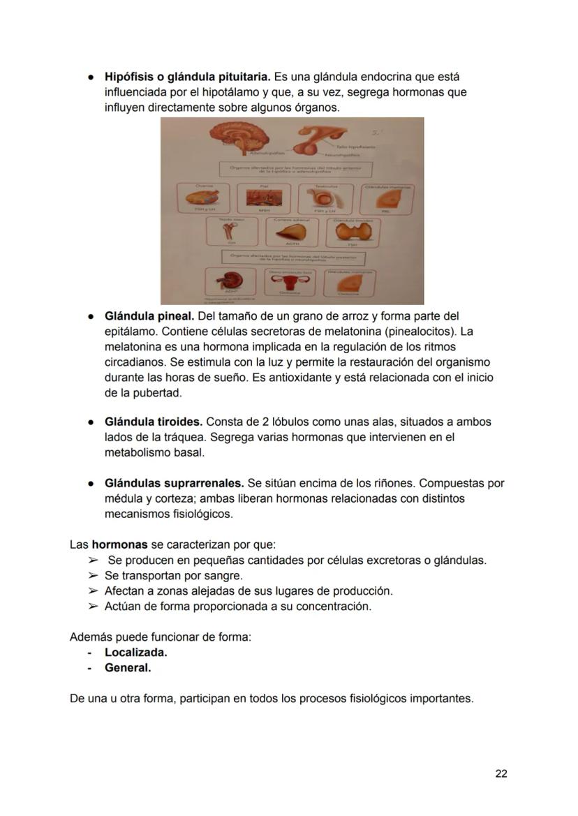 UNIDAD 4
4.1. Clasificación de los sistemas y aparatos del organismo
Sistemas: Agrupa órganos interrelacionados que tienen el mismo origen
e