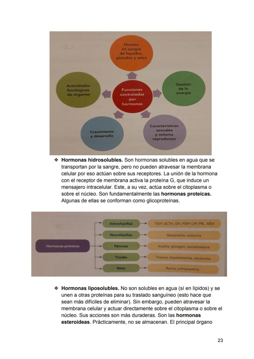 UNIDAD 4
4.1. Clasificación de los sistemas y aparatos del organismo
Sistemas: Agrupa órganos interrelacionados que tienen el mismo origen
e