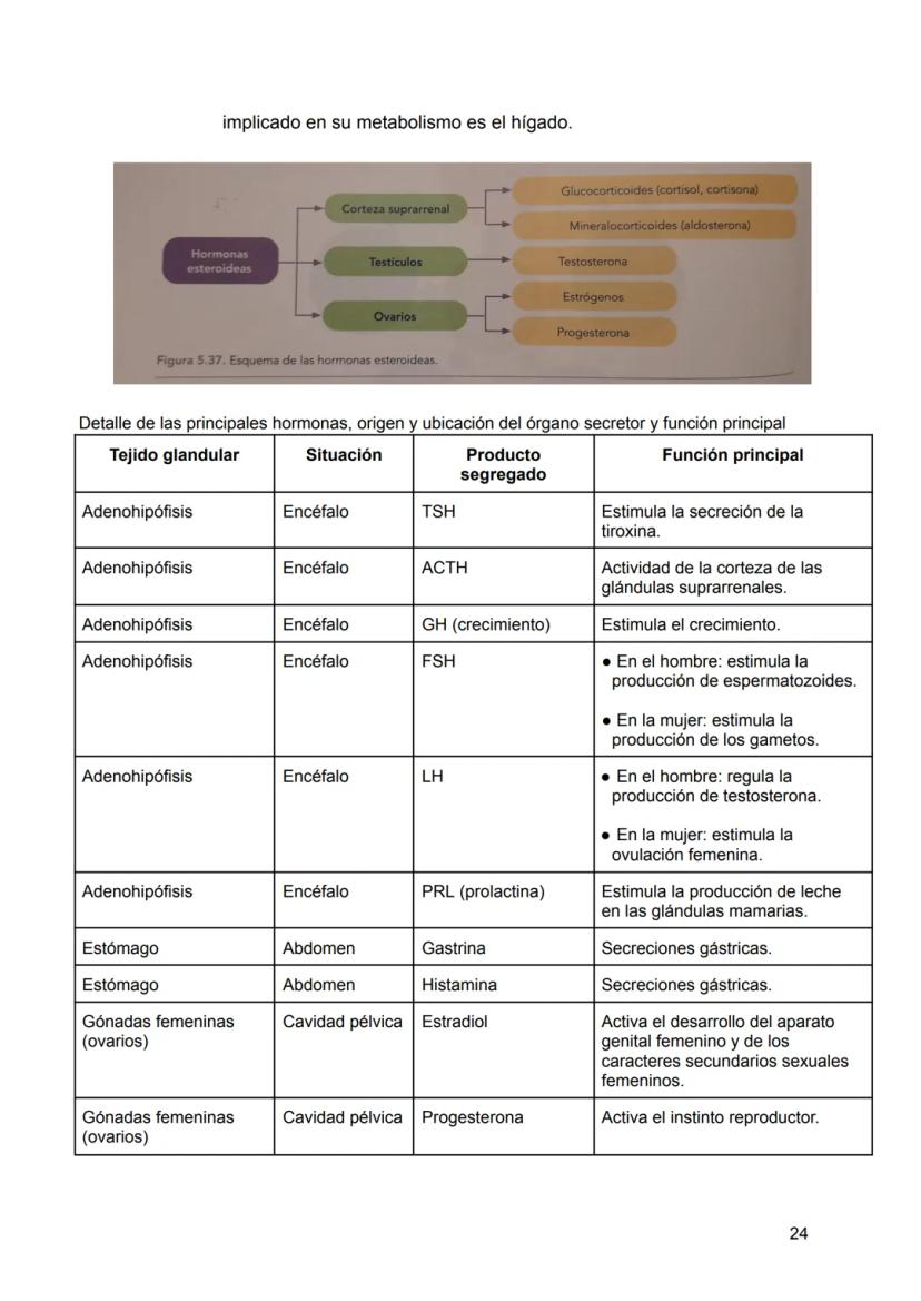 UNIDAD 4
4.1. Clasificación de los sistemas y aparatos del organismo
Sistemas: Agrupa órganos interrelacionados que tienen el mismo origen
e