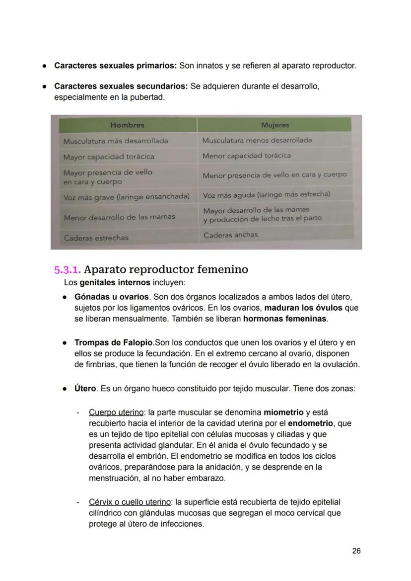 UNIDAD 4
4.1. Clasificación de los sistemas y aparatos del organismo
Sistemas: Agrupa órganos interrelacionados que tienen el mismo origen
e