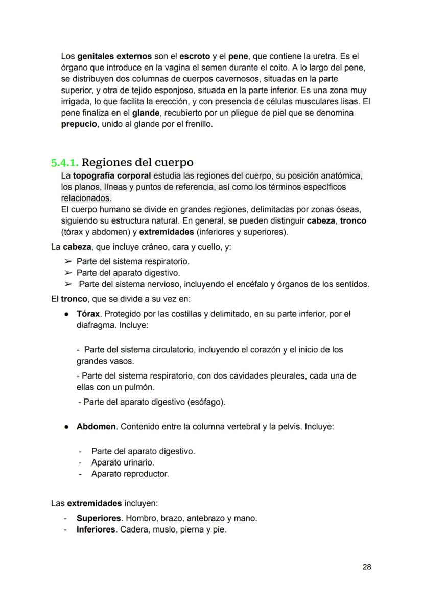 UNIDAD 4
4.1. Clasificación de los sistemas y aparatos del organismo
Sistemas: Agrupa órganos interrelacionados que tienen el mismo origen
e