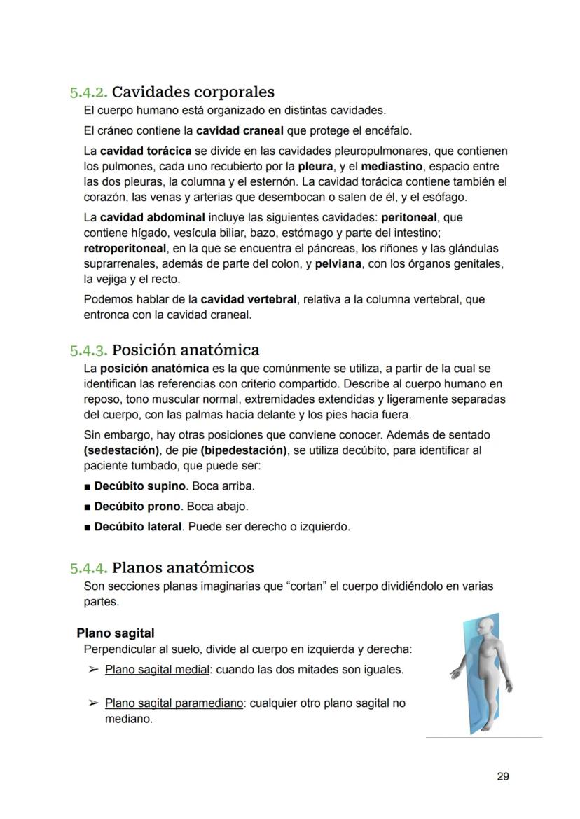 UNIDAD 4
4.1. Clasificación de los sistemas y aparatos del organismo
Sistemas: Agrupa órganos interrelacionados que tienen el mismo origen
e