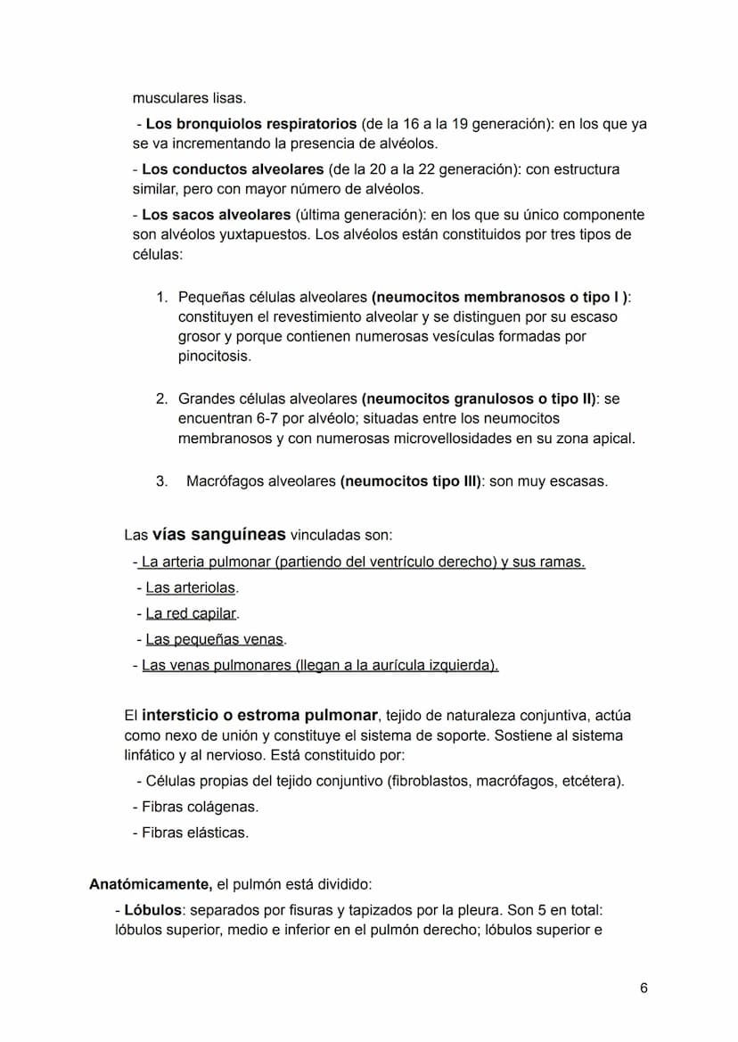 UNIDAD 4
4.1. Clasificación de los sistemas y aparatos del organismo
Sistemas: Agrupa órganos interrelacionados que tienen el mismo origen
e