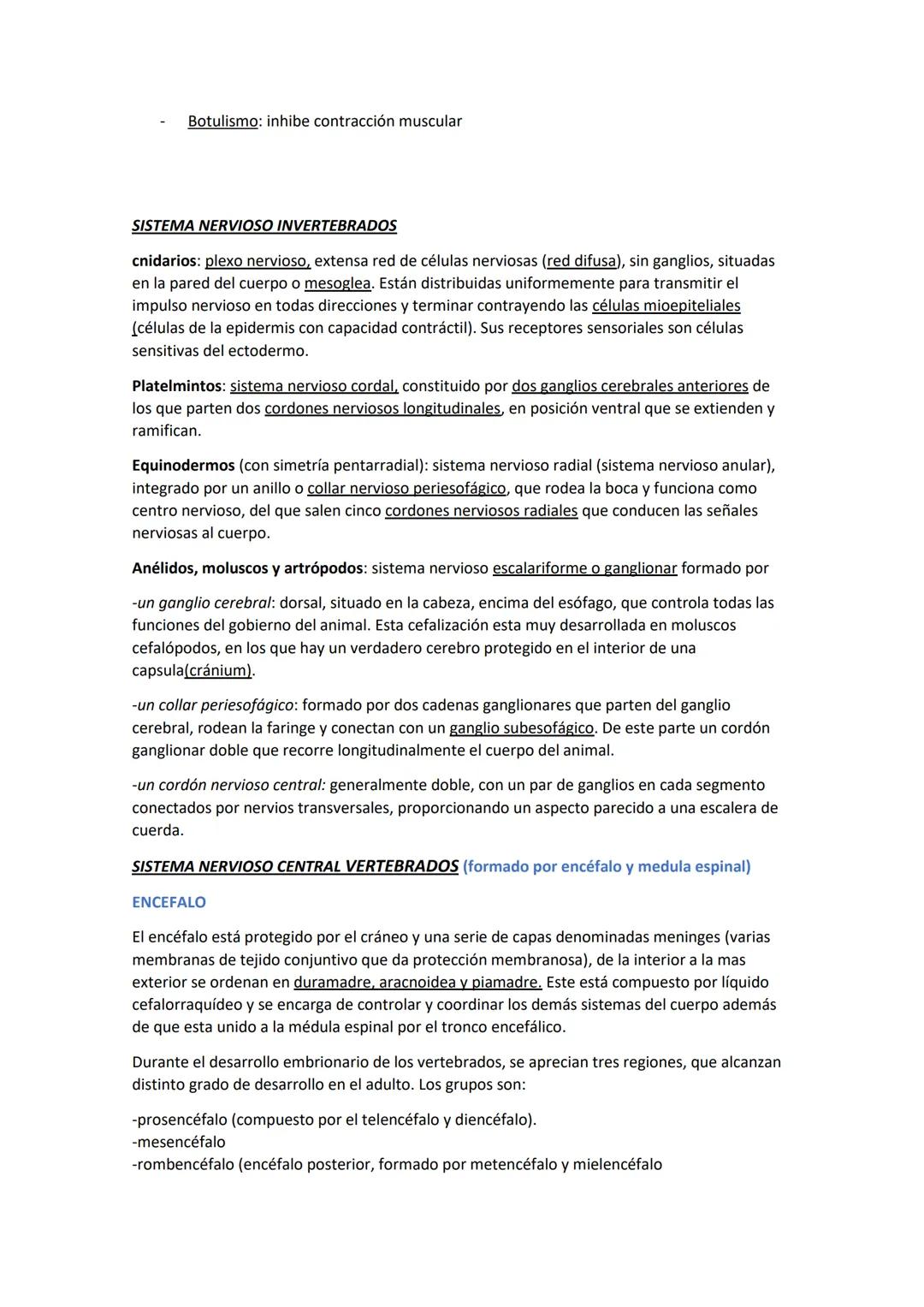 SISTEMA NERVIOSO
Su función es codificar la info que dan los receptores, transmitirla y procesarla de manera
rápida y precisa para que se pr