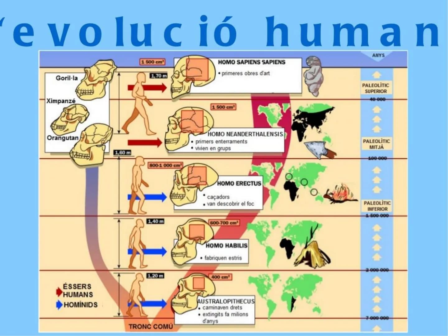 Tema 7.
La Prehistòria
Ciències socials, geografia i història
Primer curs Introducció Tanqueu els ulls i penseu en la
prehistòria.
Heu imagi