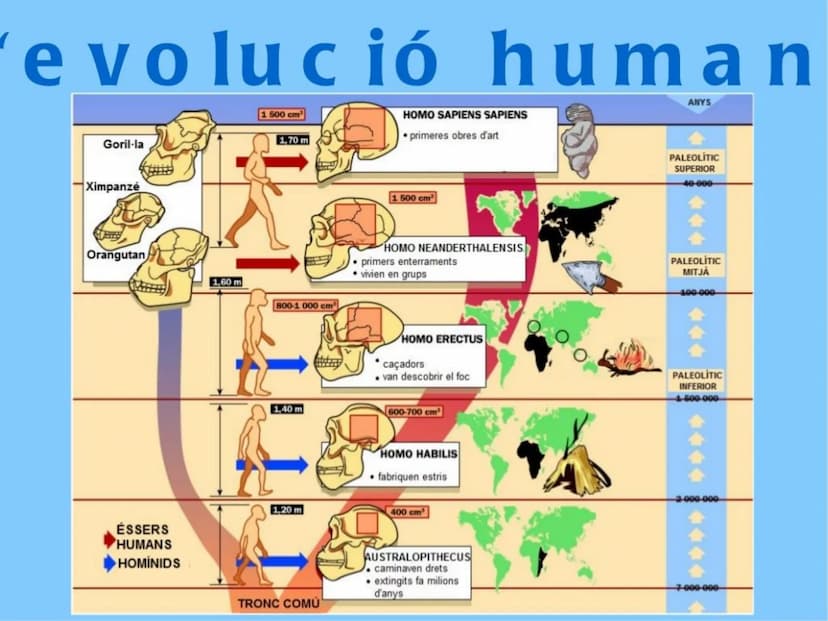 Tema 7.
La Prehistòria
Ciències socials, geografia i història
Primer curs Introducció Tanqueu els ulls i penseu en la
prehistòria.
Heu imagi