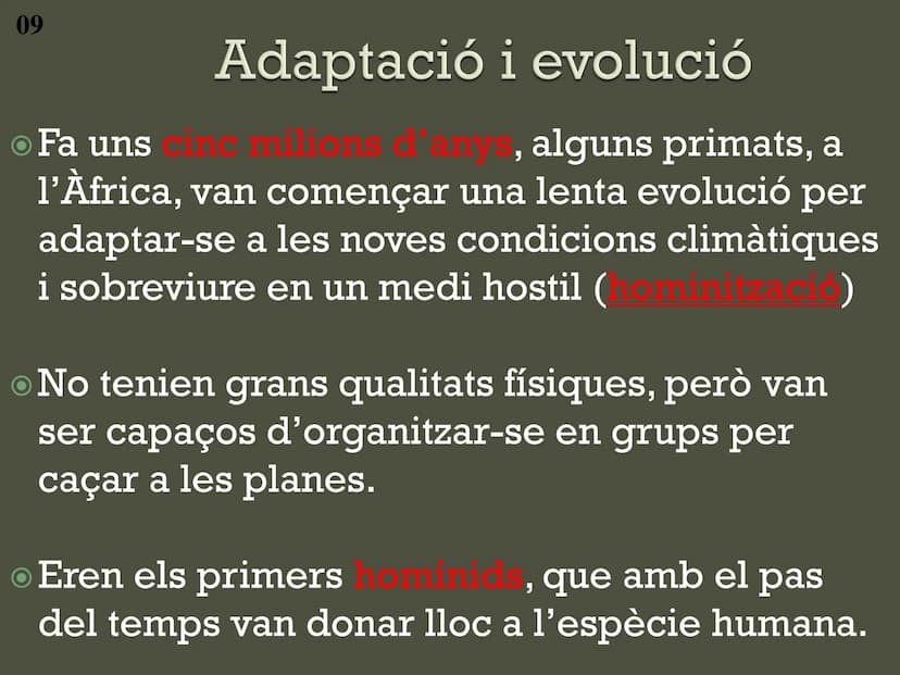 Tema 7.
La Prehistòria
Ciències socials, geografia i història
Primer curs Introducció Tanqueu els ulls i penseu en la
prehistòria.
Heu imagi