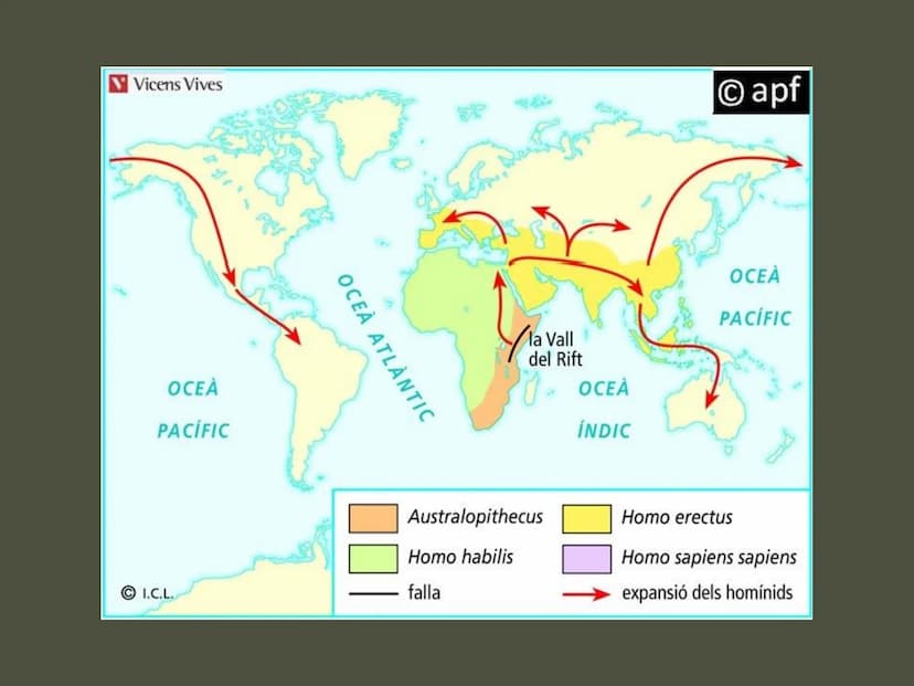 Tema 7.
La Prehistòria
Ciències socials, geografia i història
Primer curs Introducció Tanqueu els ulls i penseu en la
prehistòria.
Heu imagi