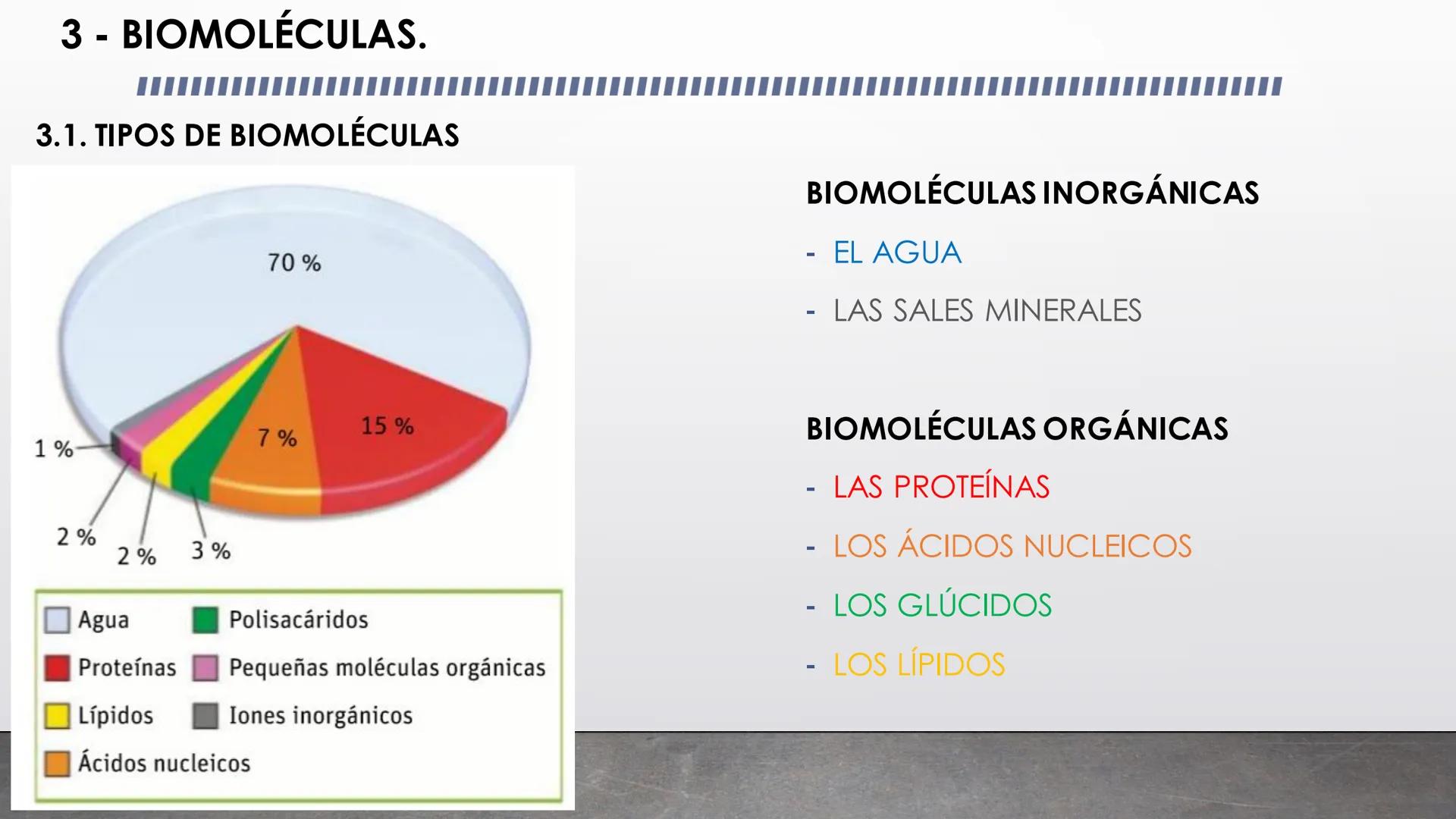 1 - LA NATURALEZA BÁSICA DE LA VIDA
1 - La complejidad del organismo
2- Bioelementos
3 - Biomoléculas
4- El agua
5- Las sales minerales
6 - 