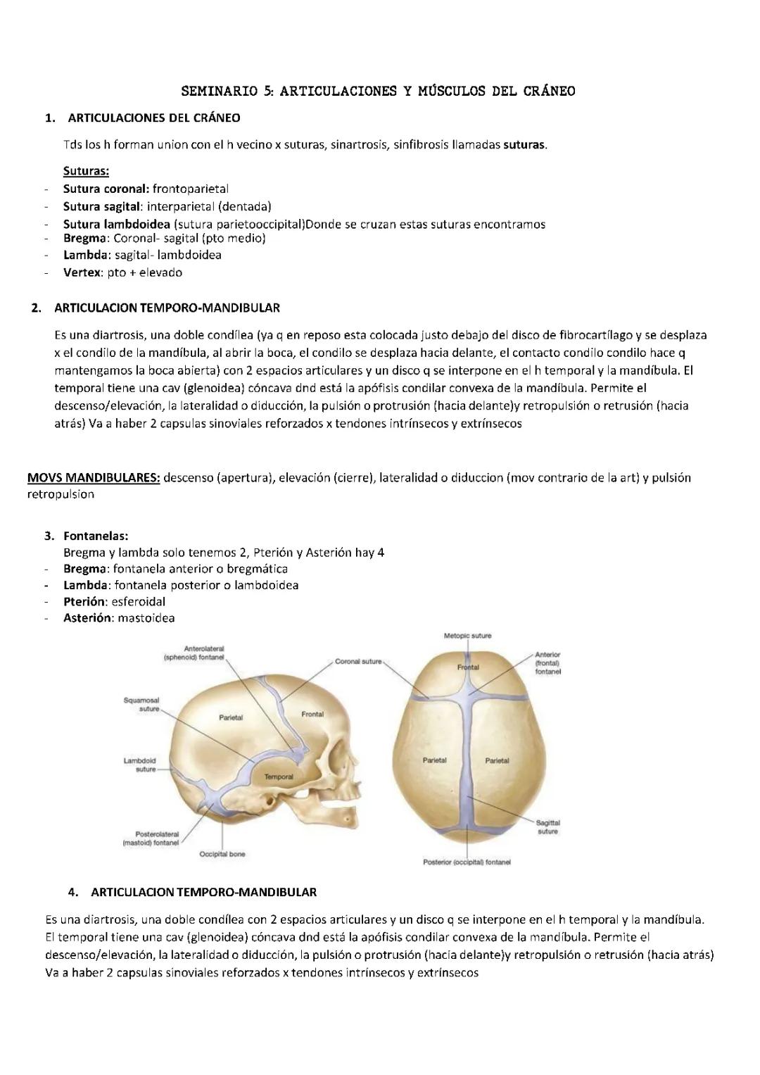 Tema 5: Anatomía Humana