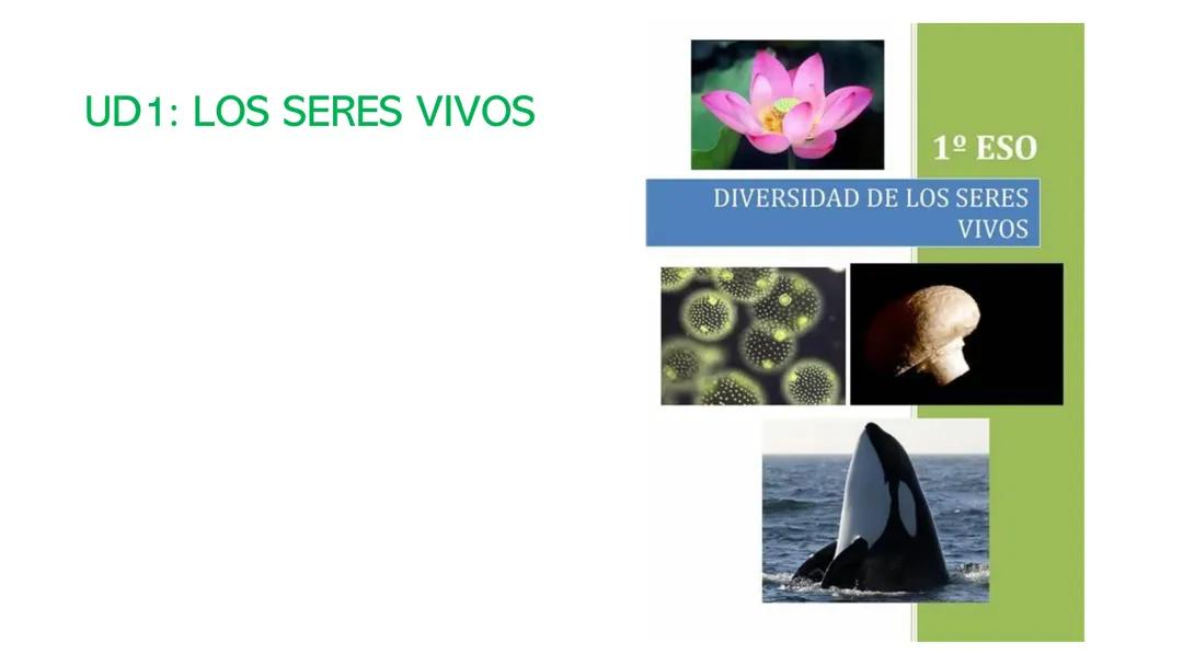 Características Principales de los Seres Vivos