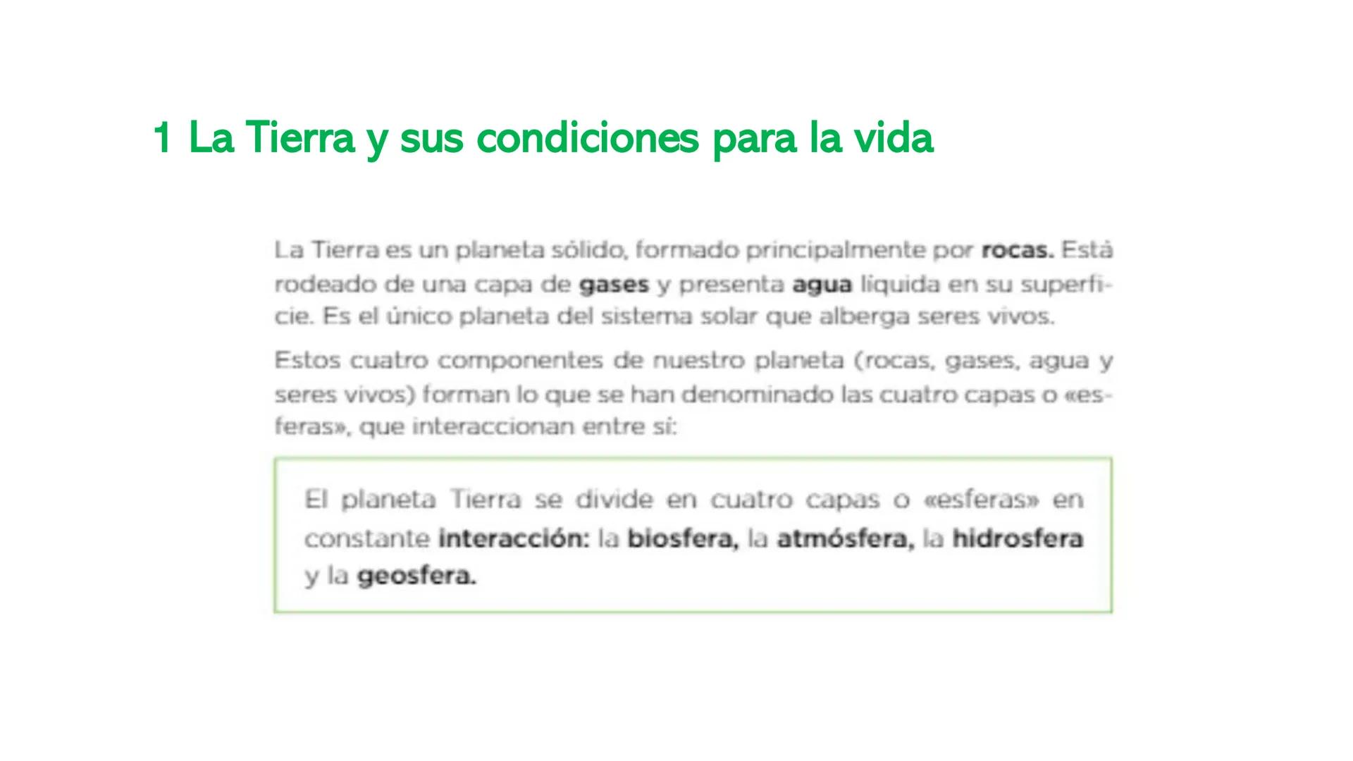 UD1: LOS SERES VIVOS
1º ESO
DIVERSIDAD DE LOS SERES
VIVOS -
¿Qué elementos vivos e inertes reconoces en la foto?
¿Qué función se realiza en 
