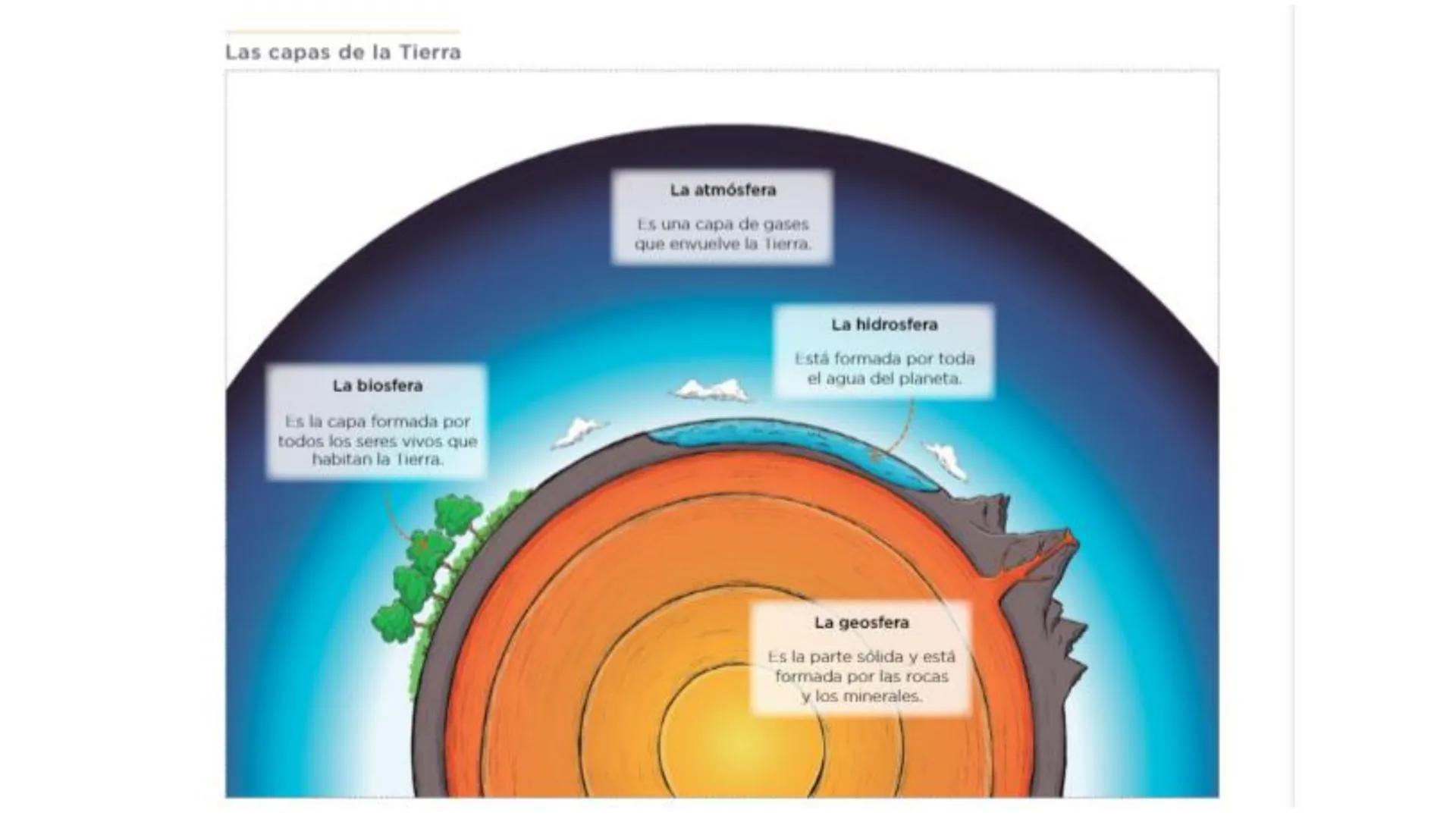 UD1: LOS SERES VIVOS
1º ESO
DIVERSIDAD DE LOS SERES
VIVOS -
¿Qué elementos vivos e inertes reconoces en la foto?
¿Qué función se realiza en 