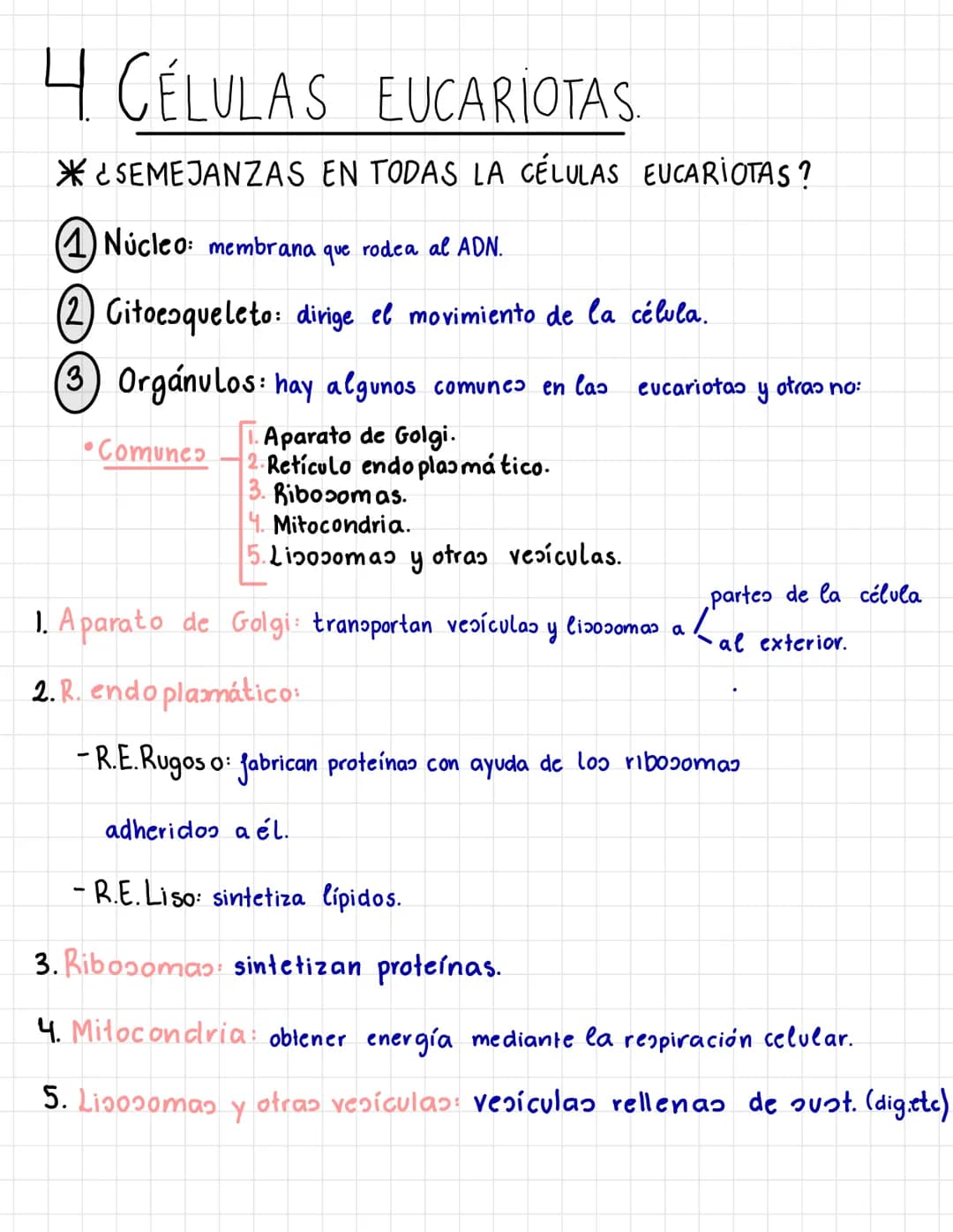 4 CÉLULAS EUCARIOTAS
*¿SEMEJANZAS EN TODAS LA CÉLULAS EUCARIOTAS?
Núcleo: membrana que rodea al ADN.
Citoesqueleto: dirige el movimiento de 