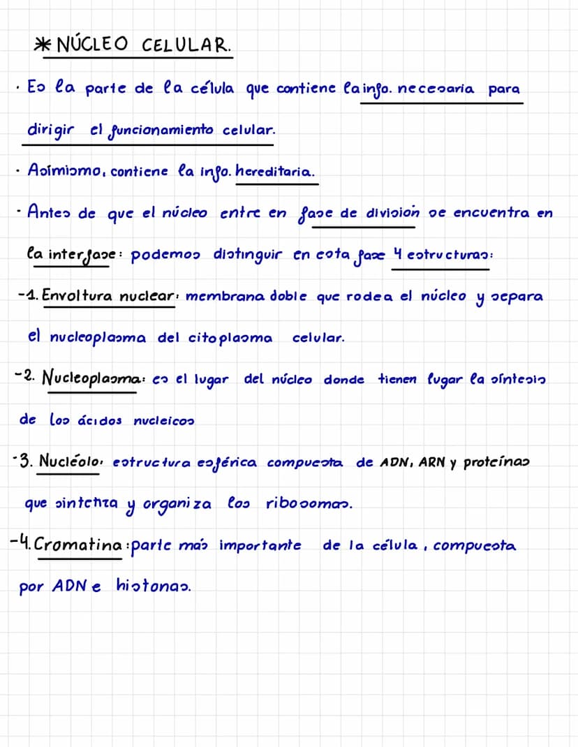 4 CÉLULAS EUCARIOTAS
*¿SEMEJANZAS EN TODAS LA CÉLULAS EUCARIOTAS?
Núcleo: membrana que rodea al ADN.
Citoesqueleto: dirige el movimiento de 