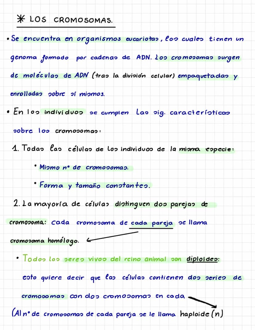 4 CÉLULAS EUCARIOTAS
*¿SEMEJANZAS EN TODAS LA CÉLULAS EUCARIOTAS?
Núcleo: membrana que rodea al ADN.
Citoesqueleto: dirige el movimiento de 