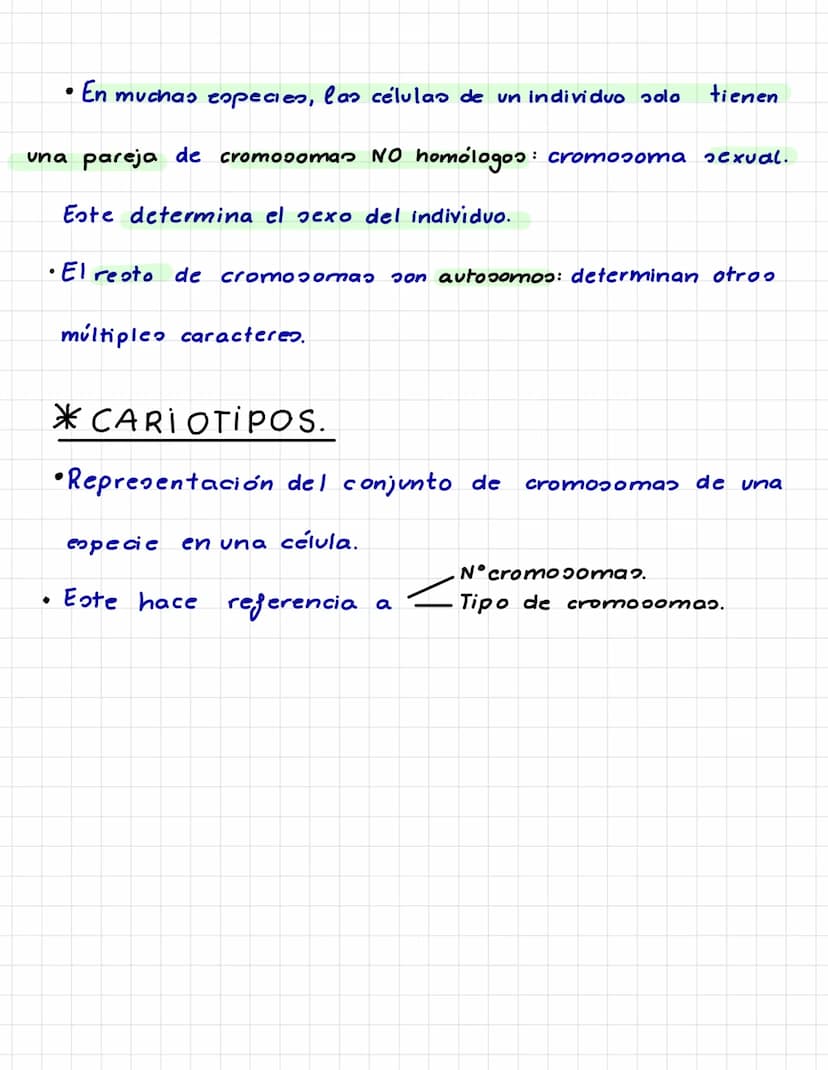 4 CÉLULAS EUCARIOTAS
*¿SEMEJANZAS EN TODAS LA CÉLULAS EUCARIOTAS?
Núcleo: membrana que rodea al ADN.
Citoesqueleto: dirige el movimiento de 