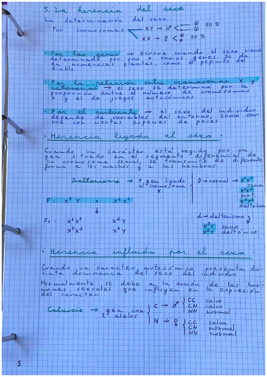 # Tema: 6

# GENÉTICA MENDELIANA

1. Conceptos fundamentales de genética

*   Carácter hereditario: cualquier característica presente en un 