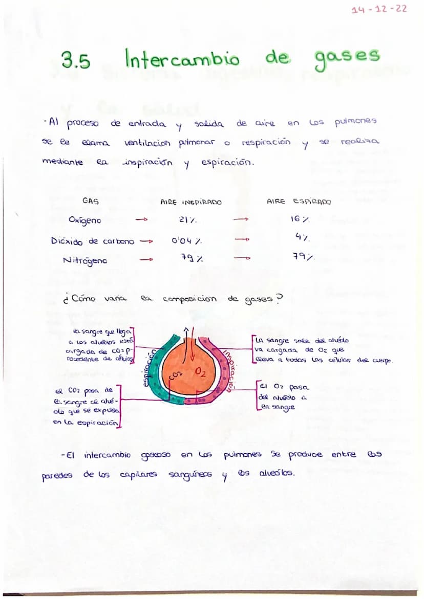 PARTES:
3.2 EL SISTEMA DIGESTIVO
glúcidos.
al
- Boca :
respiratorio.
OUD
son
parte que
made
1- Glandulas salivales
conducta respiratorio.
Es