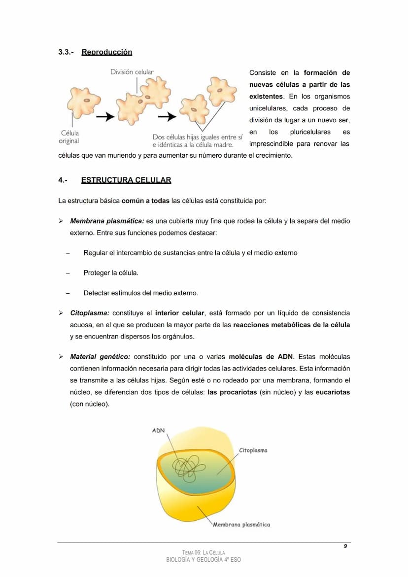 
<h2 id="tema4laclula">Tema 4: La Célula</h2>
<h3 id="loscomponentesdelosseresvivos">Los componentes de los seres vivos</h3>
<h4 id="11bioel
