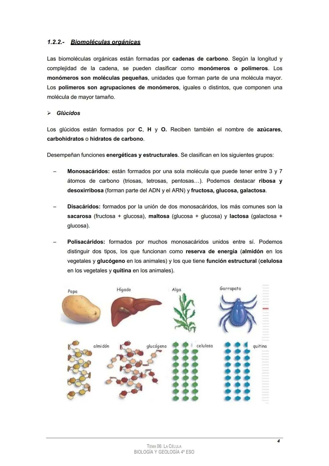 
<h2 id="tema4laclula">Tema 4: La Célula</h2>
<h3 id="loscomponentesdelosseresvivos">Los componentes de los seres vivos</h3>
<h4 id="11bioel