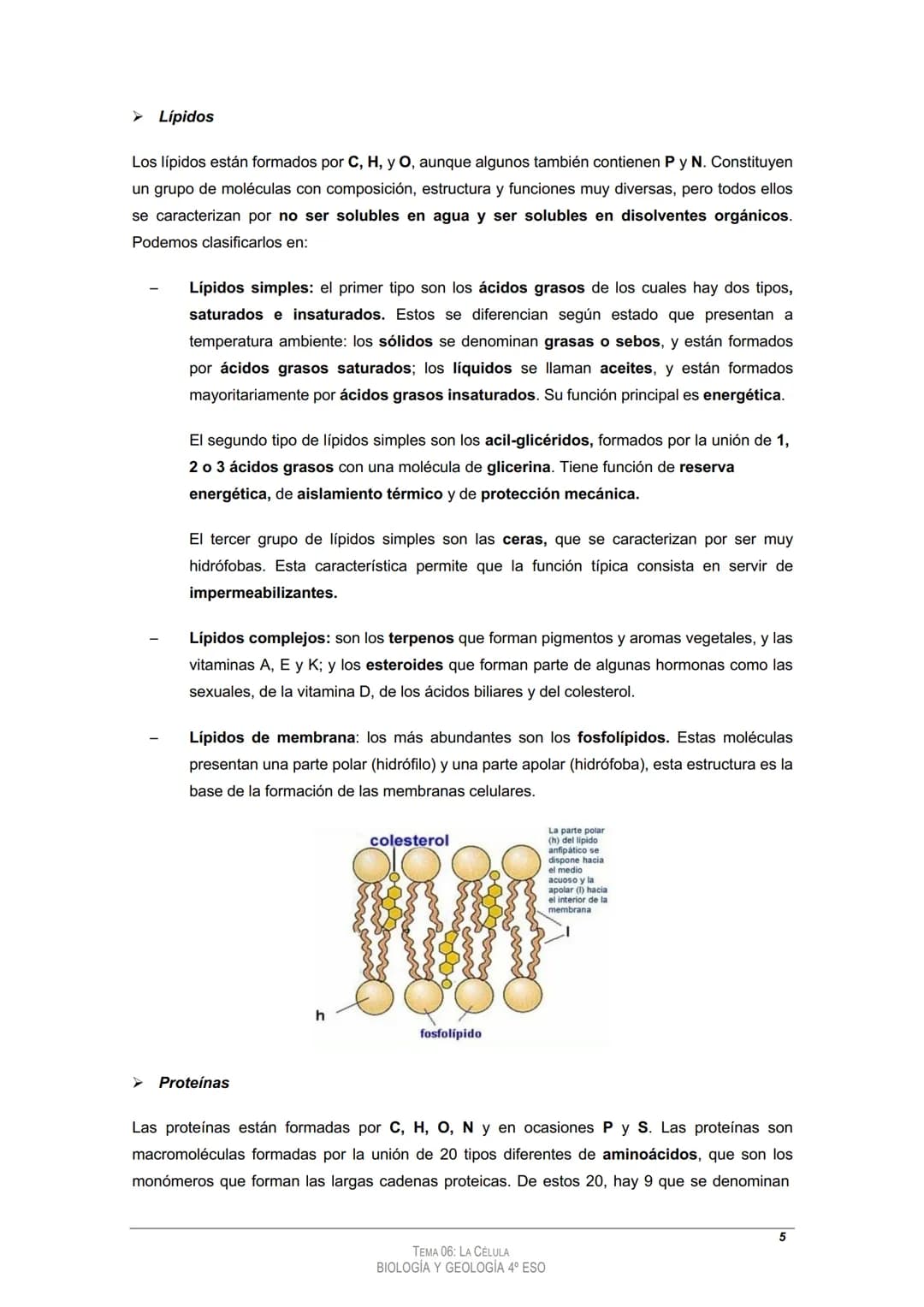 
<h2 id="tema4laclula">Tema 4: La Célula</h2>
<h3 id="loscomponentesdelosseresvivos">Los componentes de los seres vivos</h3>
<h4 id="11bioel