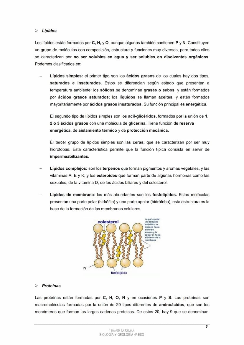 
<h2 id="tema4laclula">Tema 4: La Célula</h2>
<h3 id="loscomponentesdelosseresvivos">Los componentes de los seres vivos</h3>
<h4 id="11bioel
