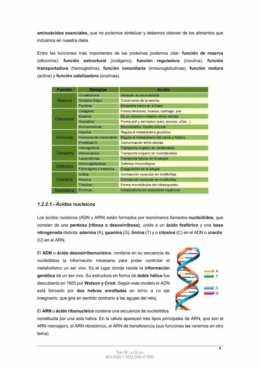 
<h2 id="tema4laclula">Tema 4: La Célula</h2>
<h3 id="loscomponentesdelosseresvivos">Los componentes de los seres vivos</h3>
<h4 id="11bioel