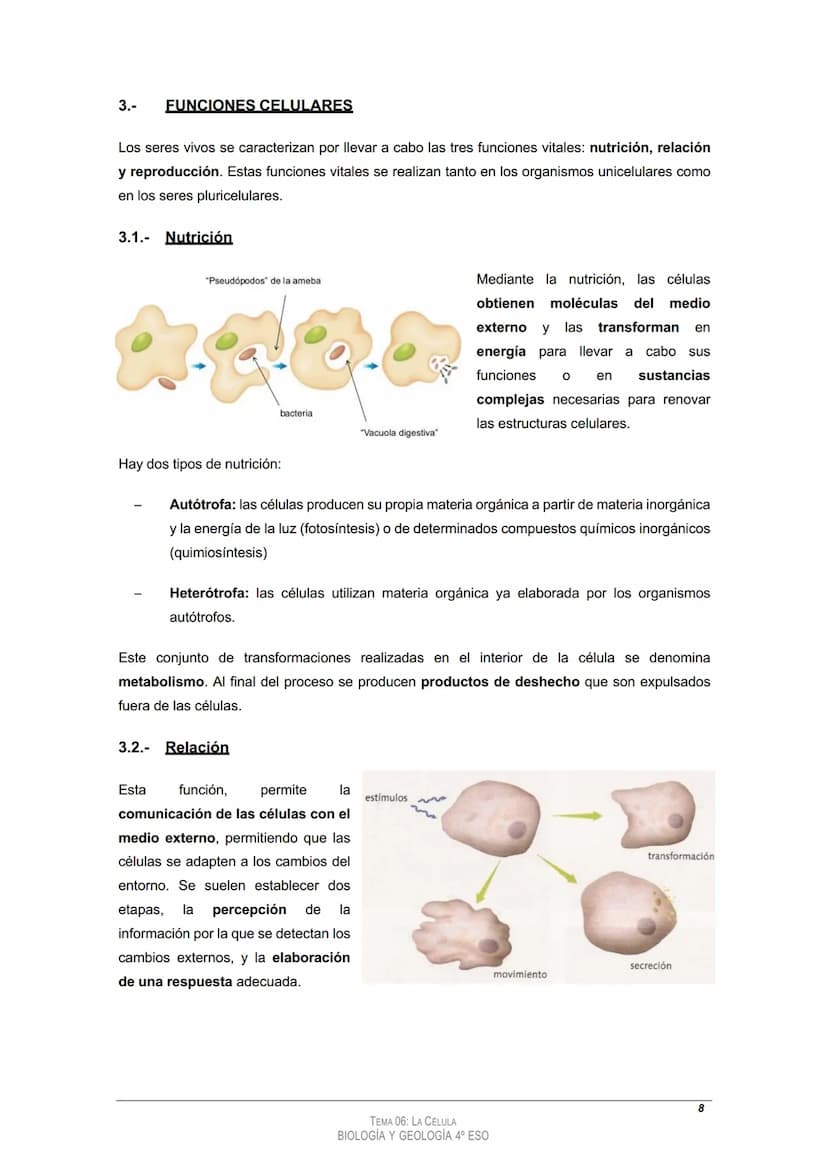 
<h2 id="tema4laclula">Tema 4: La Célula</h2>
<h3 id="loscomponentesdelosseresvivos">Los componentes de los seres vivos</h3>
<h4 id="11bioel