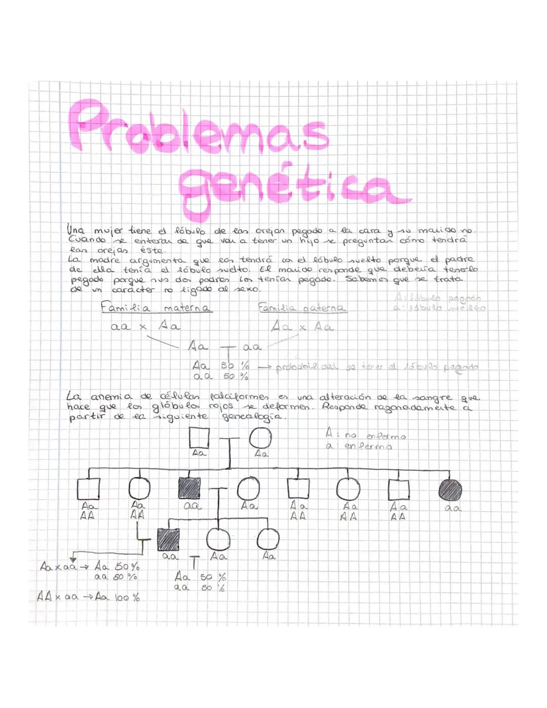 # Genética
mendeliana

• Ciclo celular
• Interfase
O fase de reamiento celular, que se divide en
- $G_1$ es un periodo de crecimiento genera