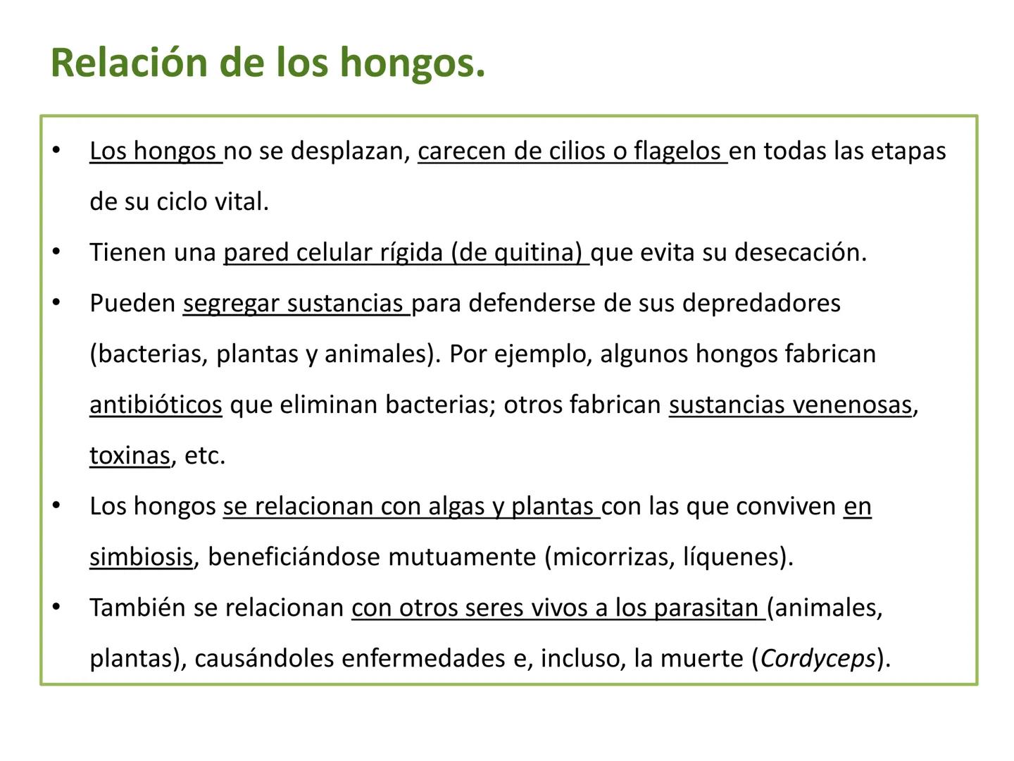 5

El reino de los hongos (Fungi)

Los hongos son organismos eucariotas
heterótrofos, cuyas células tienen una
pared celular de quitina.

Pu