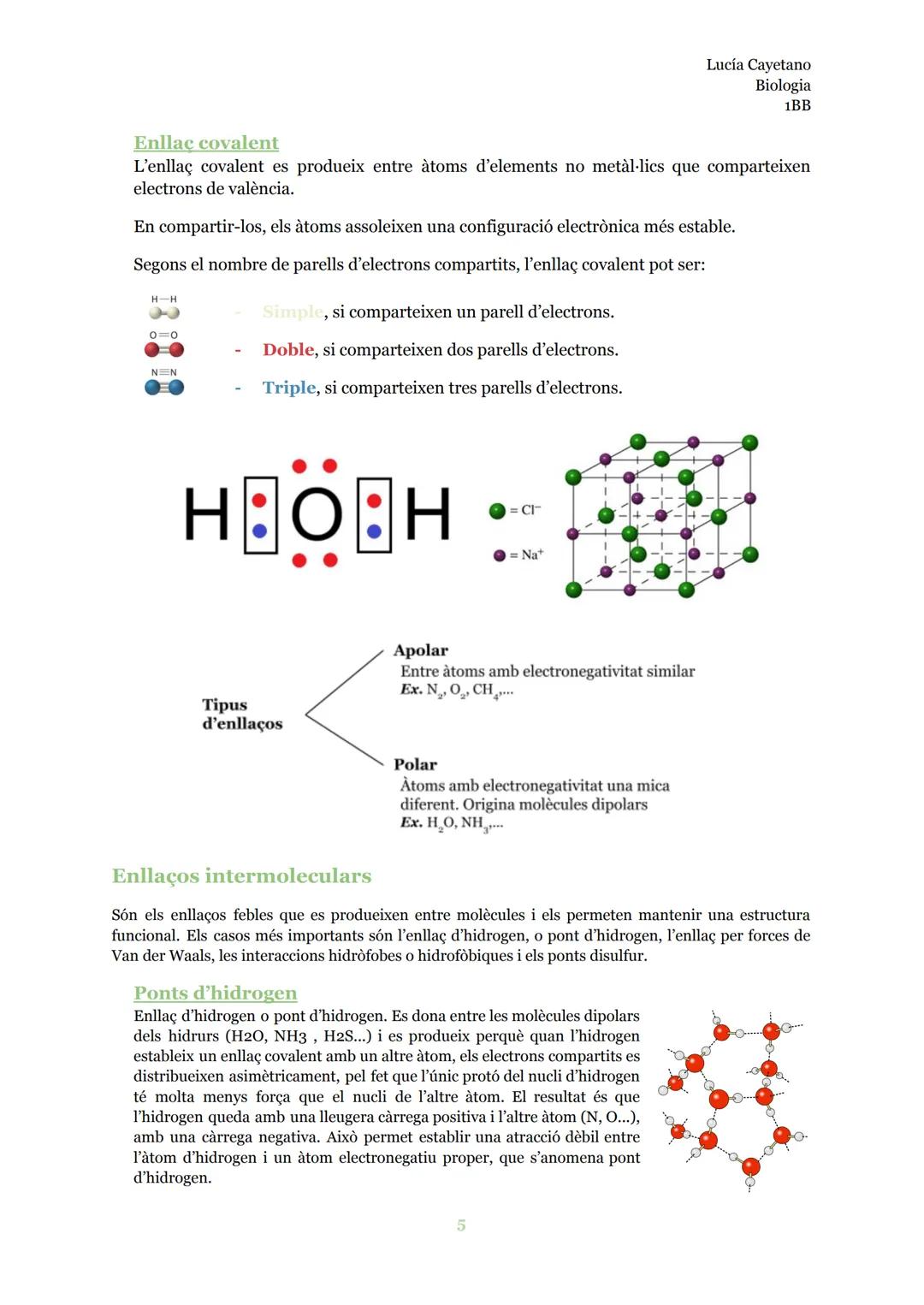 # LA COMPOSICIÓ
## QUÍMICA DE LA MATÈRIA

Biologia INDEX

Àtom..............................................................................