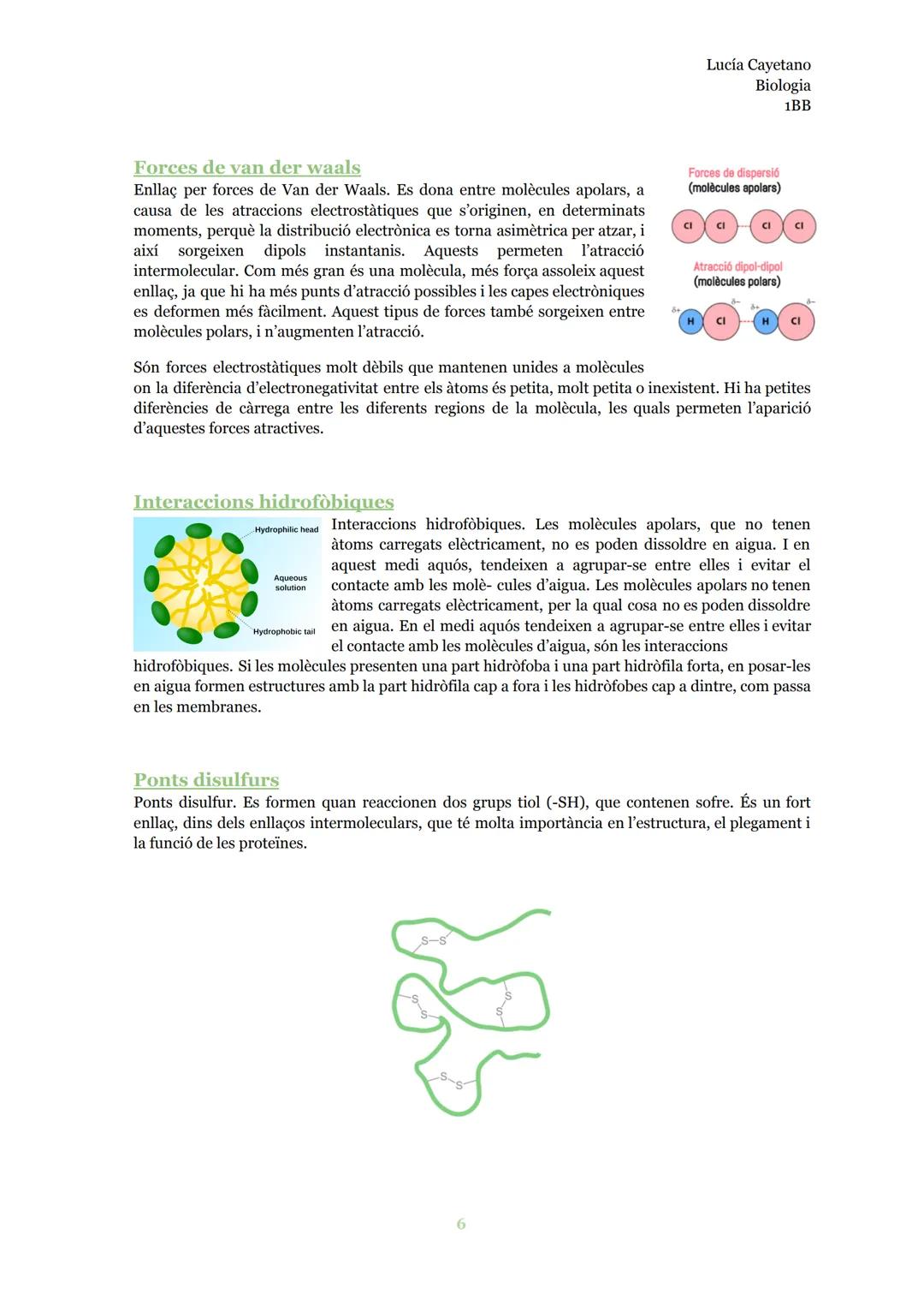# LA COMPOSICIÓ
## QUÍMICA DE LA MATÈRIA

Biologia INDEX

Àtom..............................................................................