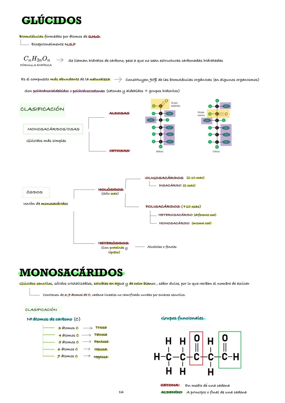 # ТЕМА З

O
|
H -OH
HO -H
H -OH
H -OH
CH2OH

O
|
HO -H
H -OH
HO -H
HO -H
CH2OH

# LOS
# GLÚCIDOS

BORJA PLEGUEZUELOS LLORCA
Profesor: SERGIO