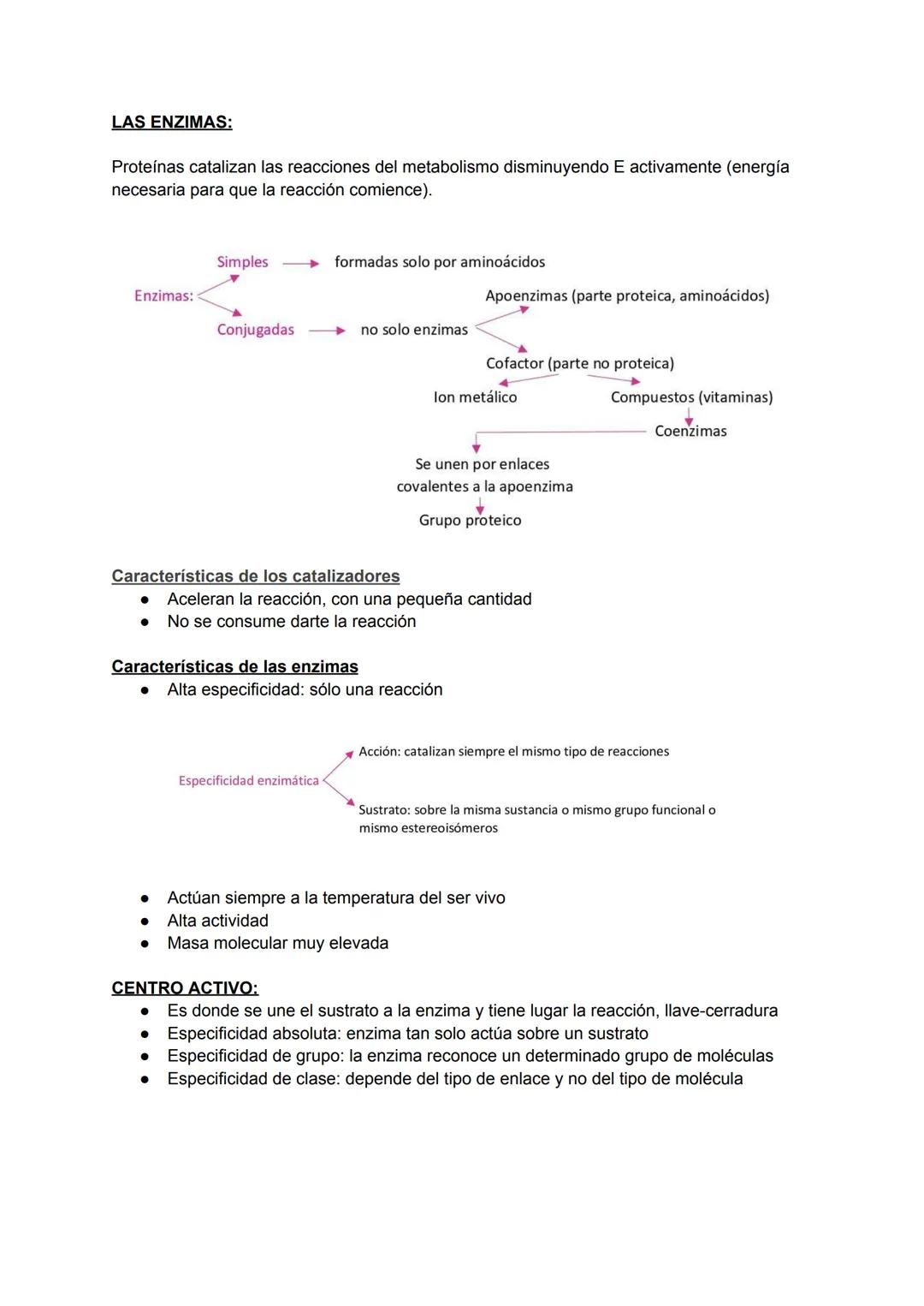 LAS ENZIMAS:
Proteínas catalizan las reacciones del metabolismo disminuyendo E activamente (energía
necesaria para que la reacción comience)