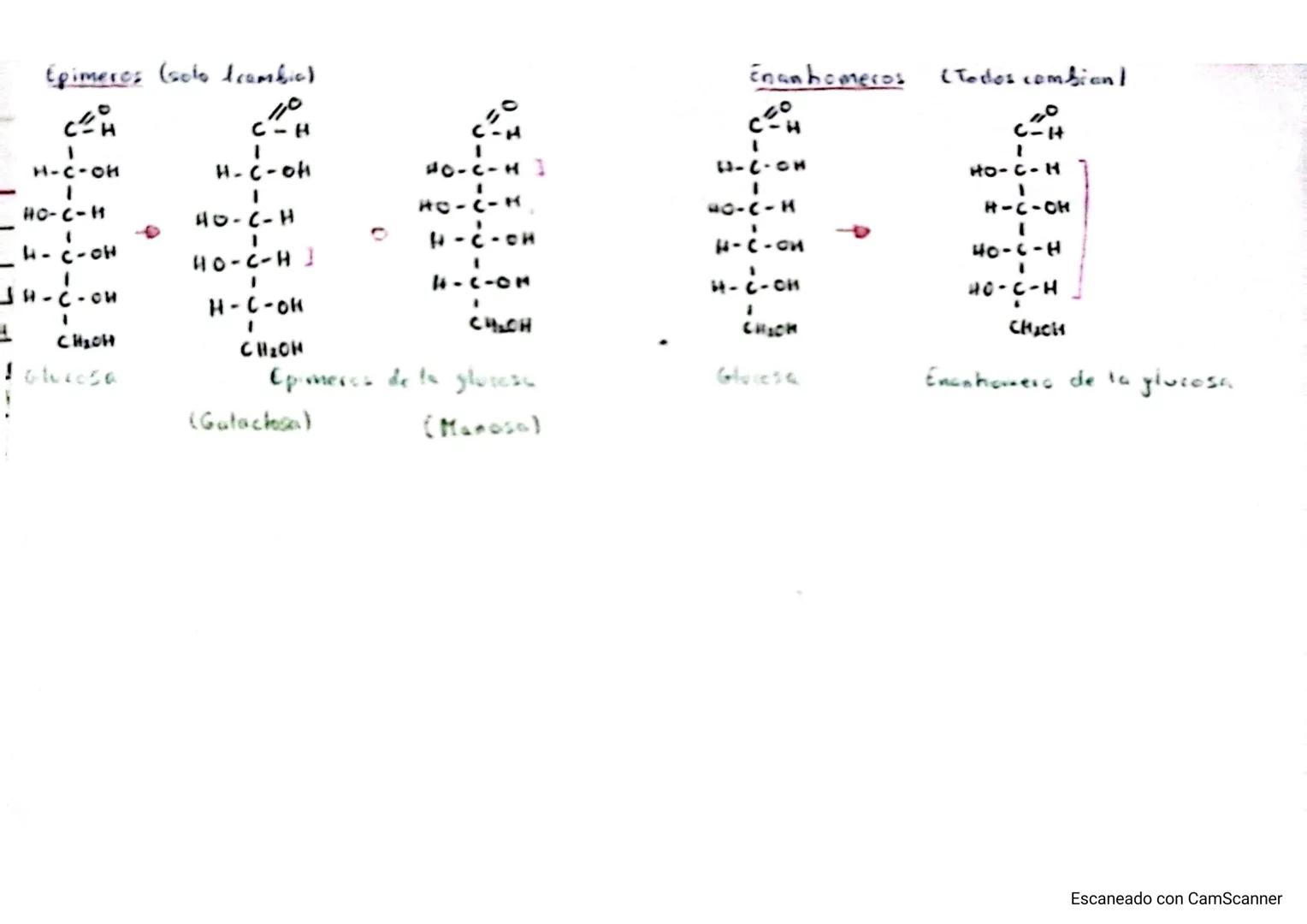 Biologia Bioquimica 2 Buchillerato A
двиг
glucidos (Tema 2)
dos
Generalidades!
A Representan el 60% de una dieta!
A Formula molewlar: CnHan 