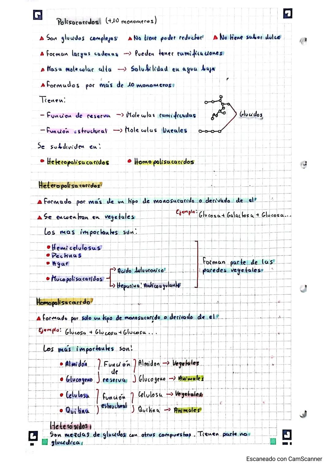 Biologia Bioquimica 2 Buchillerato A
двиг
glucidos (Tema 2)
dos
Generalidades!
A Representan el 60% de una dieta!
A Formula molewlar: CnHan 