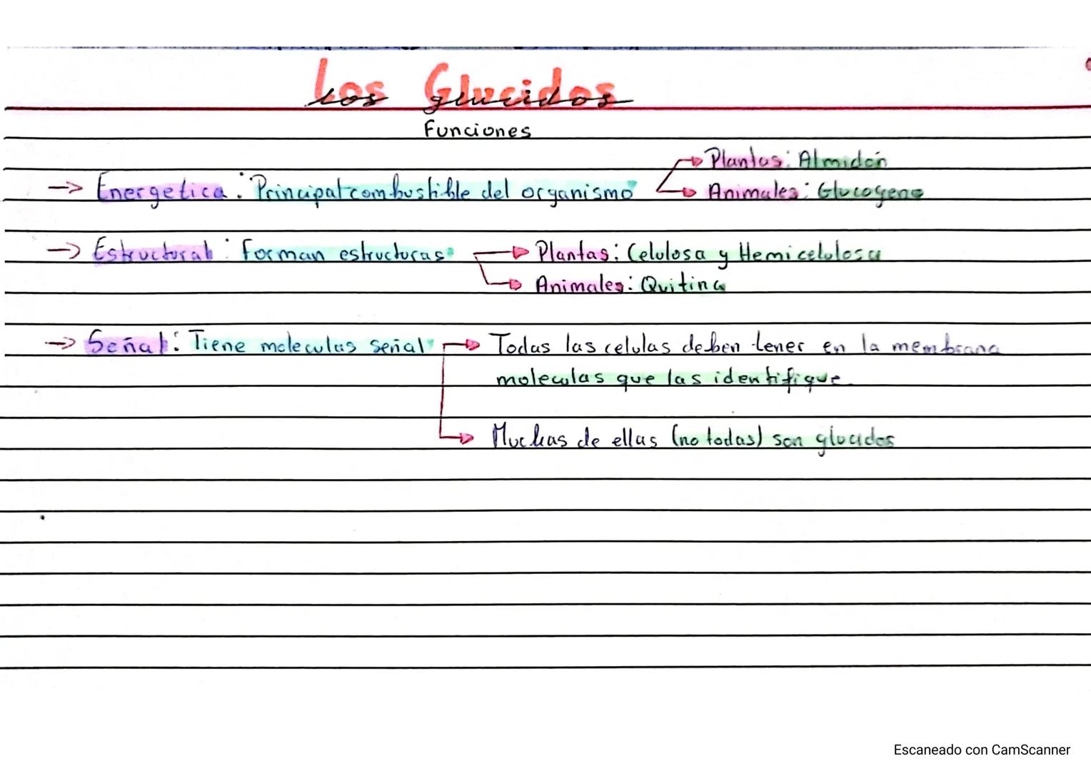 Biologia Bioquimica 2 Buchillerato A
двиг
glucidos (Tema 2)
dos
Generalidades!
A Representan el 60% de una dieta!
A Formula molewlar: CnHan 