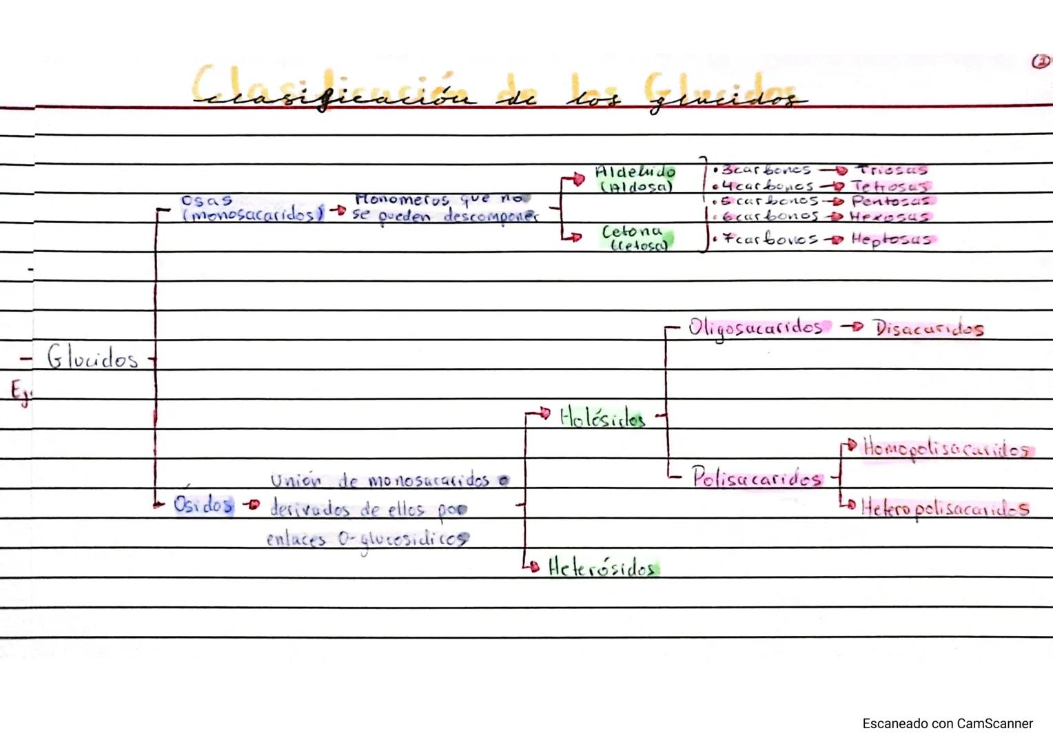 Biologia Bioquimica 2 Buchillerato A
двиг
glucidos (Tema 2)
dos
Generalidades!
A Representan el 60% de una dieta!
A Formula molewlar: CnHan 