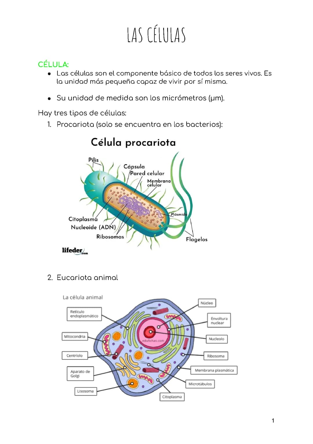 Las celulas 